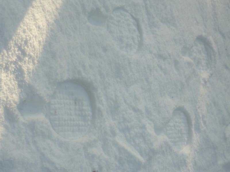 Tennisblade print in magic snow